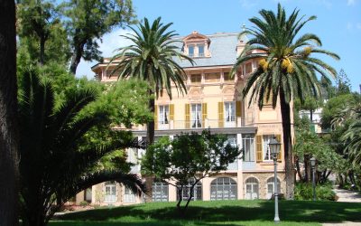 Whitefish – the cruelty behind russian beluga whale trade