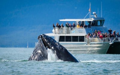 Bycatch responsible for two more species being placed on the endangered list!