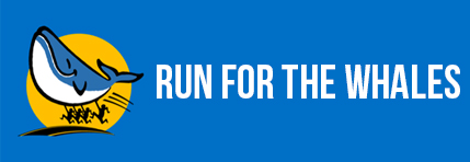 RUN FOR THE WHALES 2025 Sanremo