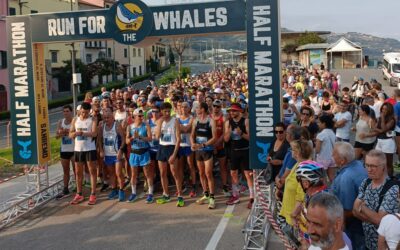 Sanremo: aperte le iscrizioni per la Run for the Whales 2024